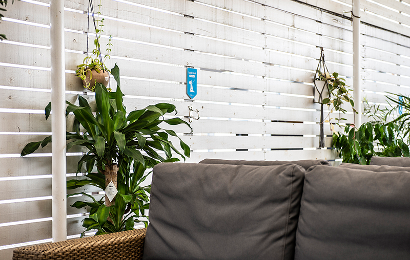 Cote Cafe　ペットOKのテラス席でちょっと早めのランチタイム