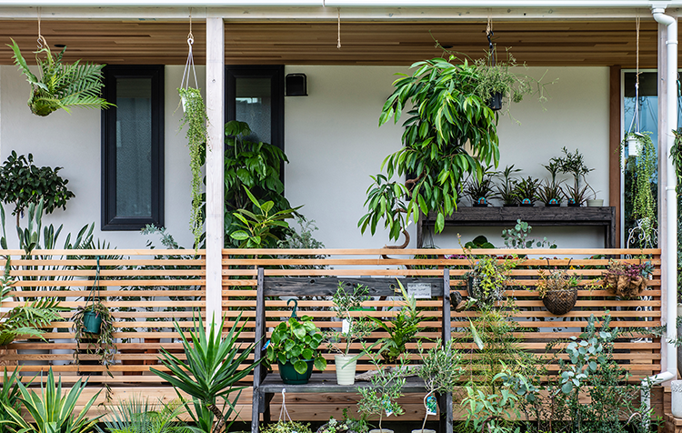 フラワーショップ Angelica