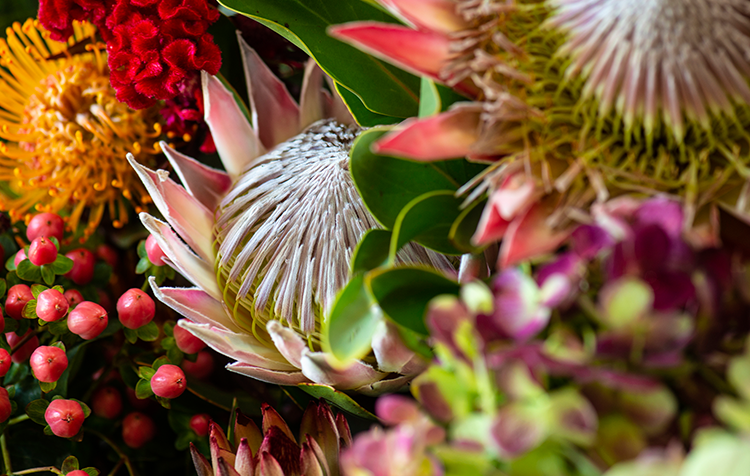 フラワーショップ Angelica