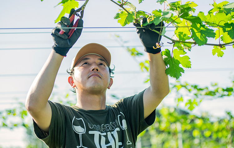 千葉ワイナリー