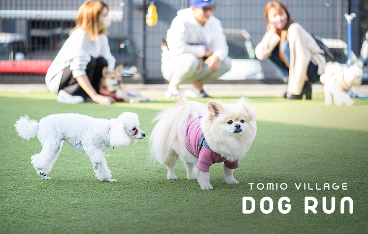 ドッグラン トミオヴィレッジ ドッグラン