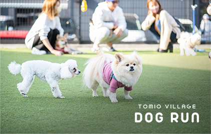 ドッグラン トミオヴィレッジ ドッグラン
